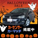 ◇ ゴルフヴァリアント ① SALE ◇